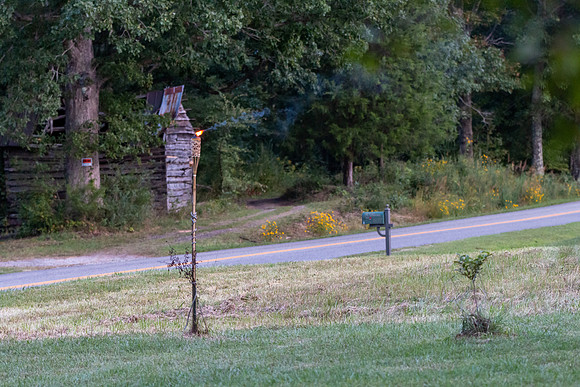 20200919-IMG_1851