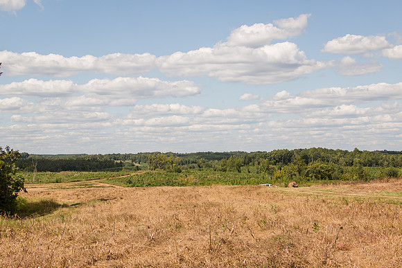 20250901-IMGL0802