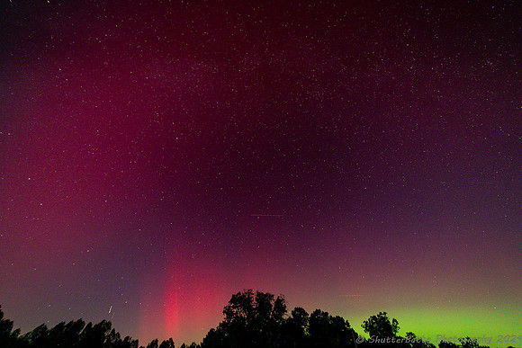 20241010-20241010-IMGM0900