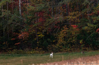 20241103-20241103-IMG_5718