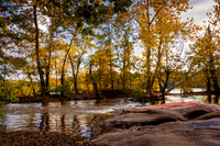 Golden On The James-MT
