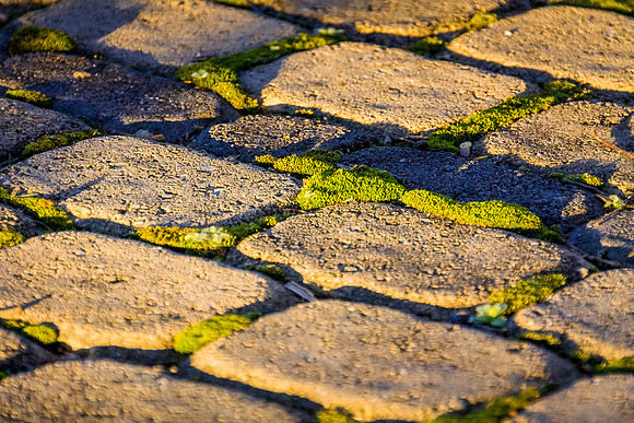 IMG_3211