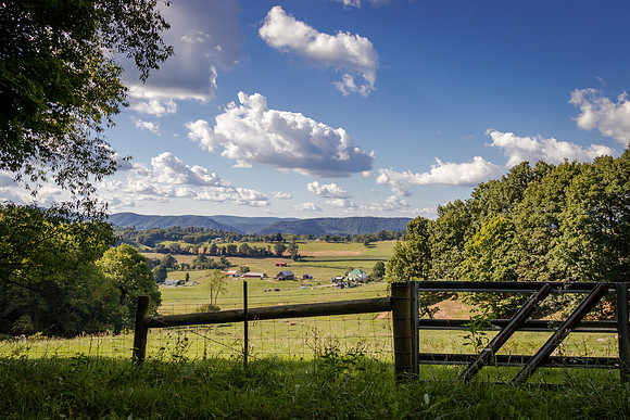 View From The Gate-MT