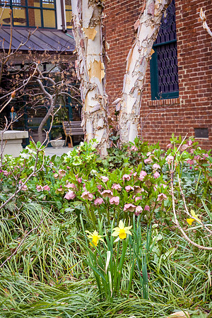 IMG_3756