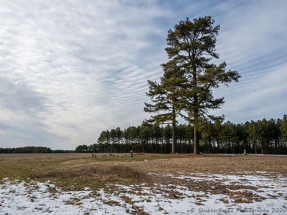 20210130-_1300344