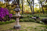 Spring In The Japanese Garden-MT