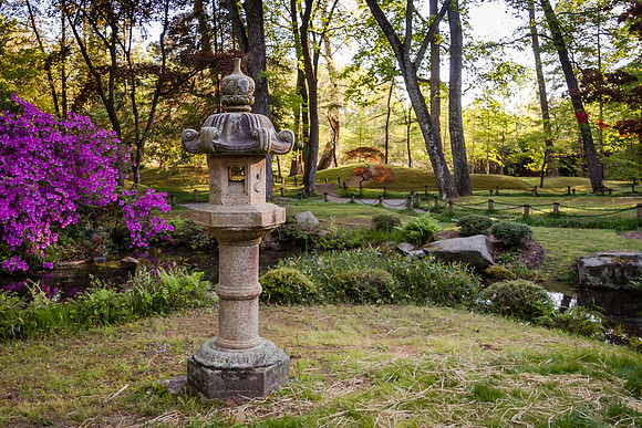 Spring In The Japanese Garden-MT