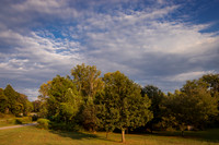 Woods Mill Wayside-MT