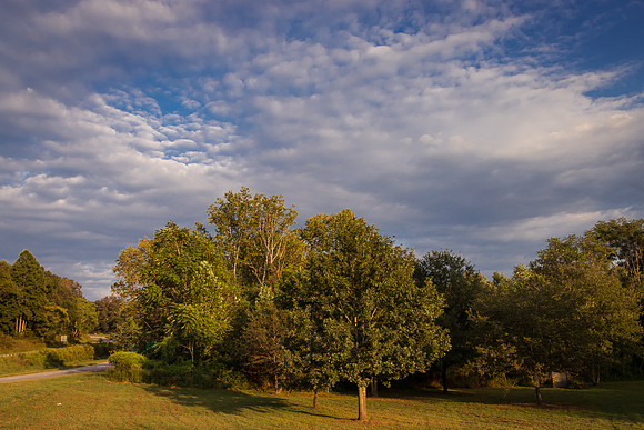 Woods Mill Wayside-MT