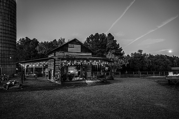 20231028-IMGM1489-2