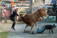 IMG_9782-Edit-Edit