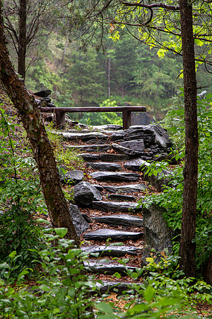 Quarry Steps-vertical
