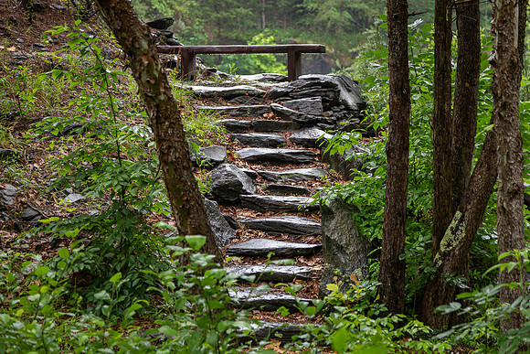Quarry Steps