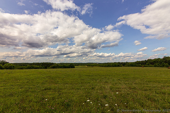 20210703-_MG_5383