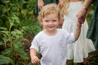 Irby Sunflowers