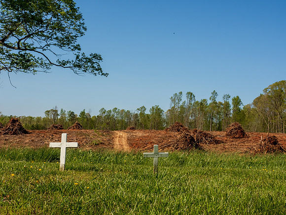 20200416-_4160784