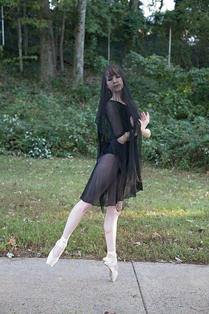 IMG_3293