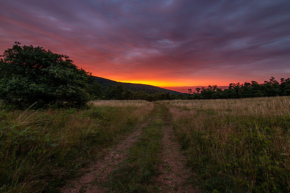 Beagle Gap Sunrise