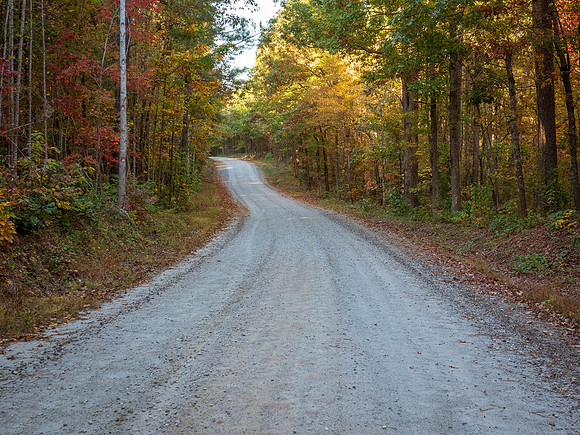 20211027-_A271223