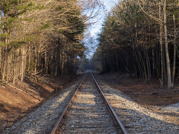 20201205-_C051853