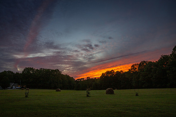 20200919-_MG_2224