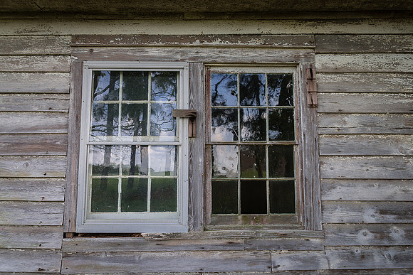 IMG_7742