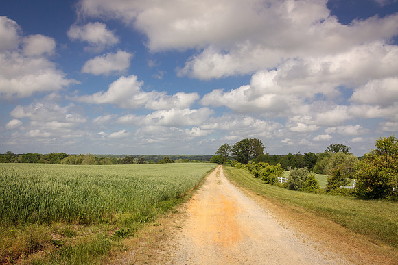 Battle View Spring