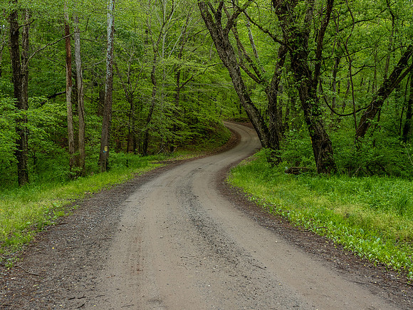 Crymes Road Spring Day