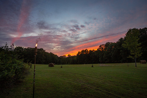 20200919-_MG_2228