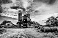 IMG_1369-Edit