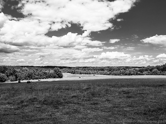 20210703-_7031085