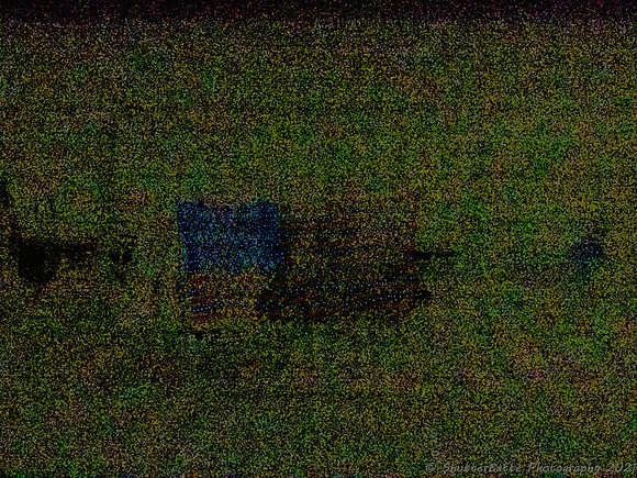 20210703-_7031492